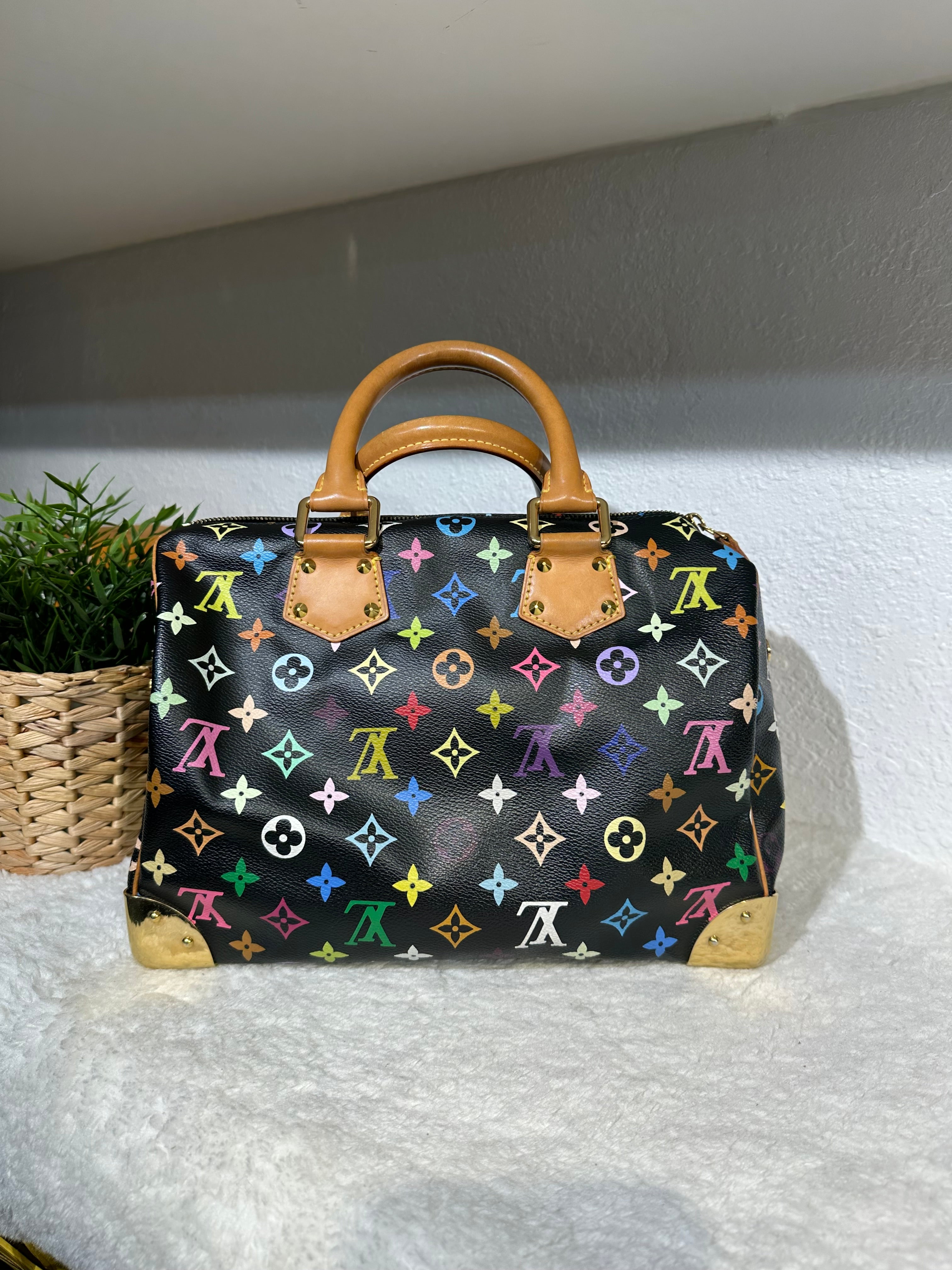 ルイヴィトンspeedy30 Louis Vuitton Multicolor Speedy 30 Top Handle bags