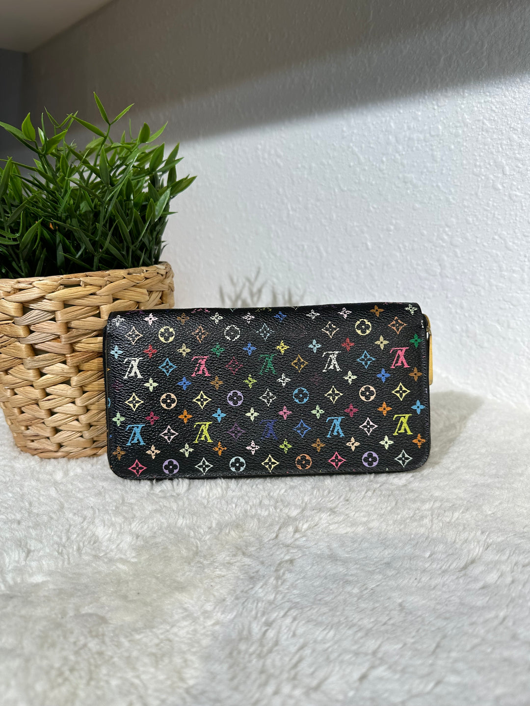 Louis Vuitton Multicolor Wallet