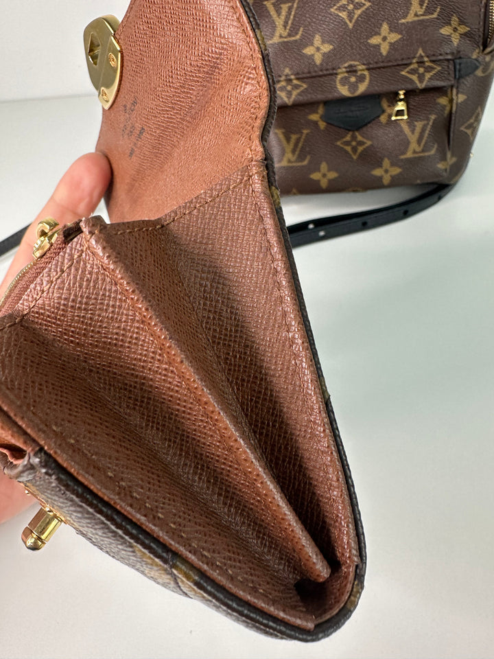 Louis Vuitton Backpack Wallet Bundle