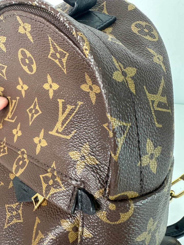 Louis Vuitton Backpack Wallet Bundle