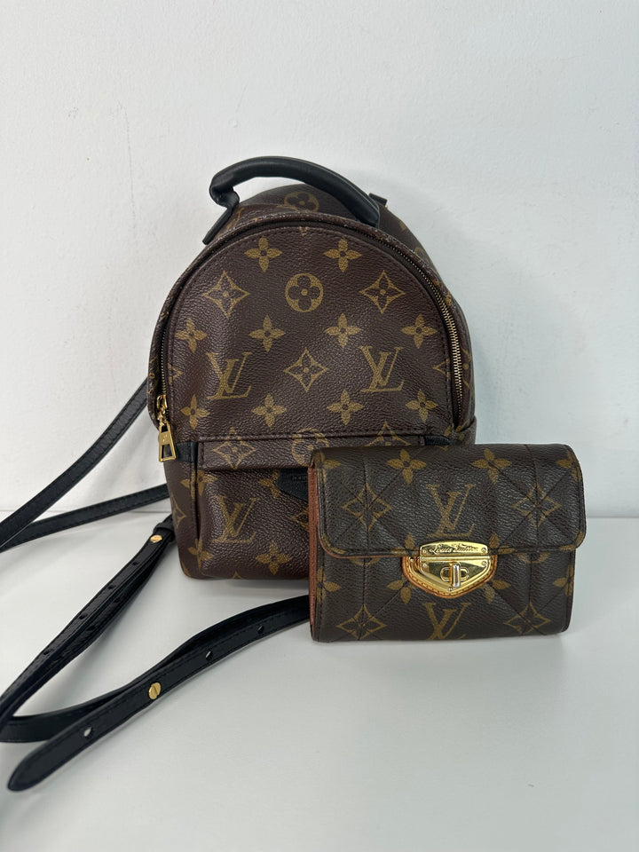 Louis Vuitton Backpack Wallet Bundle