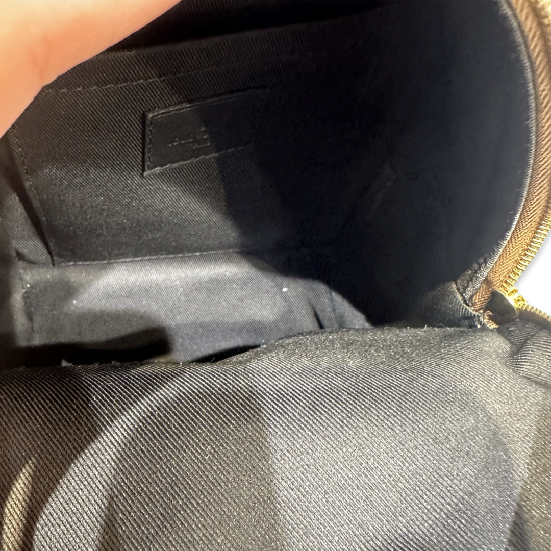 Pre-Owned Louis Vuitton Monogram Canvas Mini Palm Spring Backpack