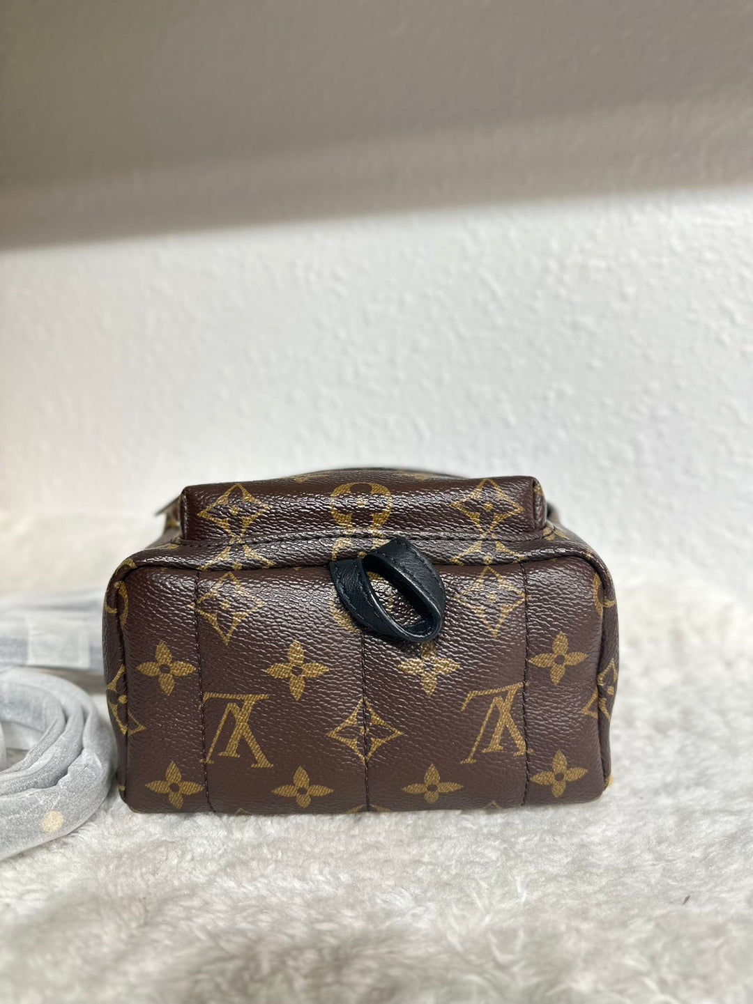 Louis Vuitton monogram canvas limited edition Mini Palm Spring backpack