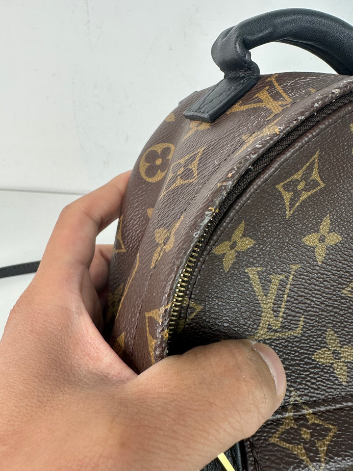 Louis Vuitton Backpack Wallet Bundle