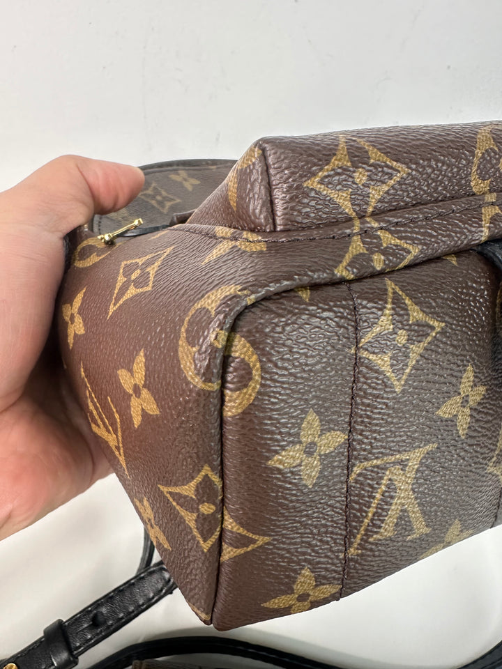 Louis Vuitton Backpack Wallet Bundle