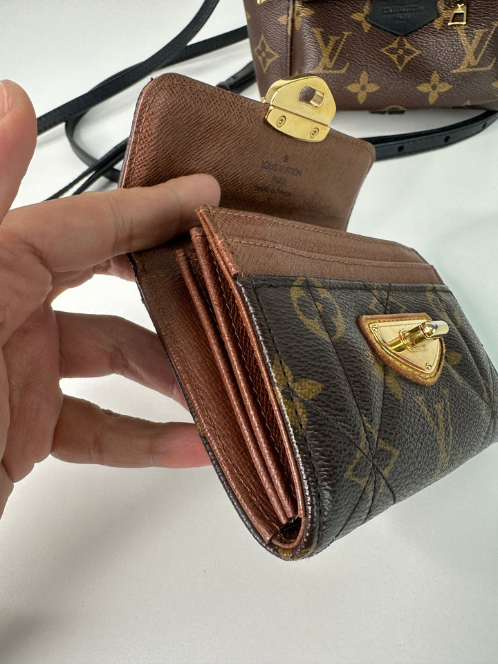 Louis Vuitton Backpack Wallet Bundle