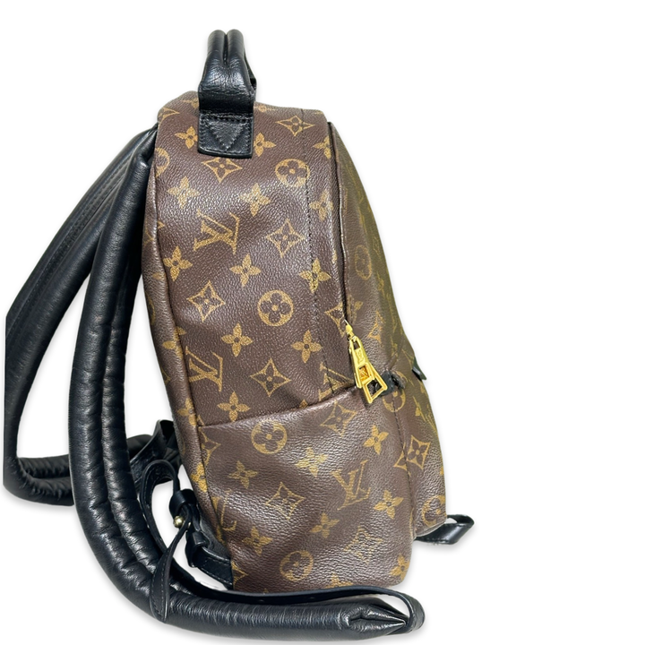 Pre-Owned Louis Vuitton Monogram Canvas Palm Spring Backpack PM