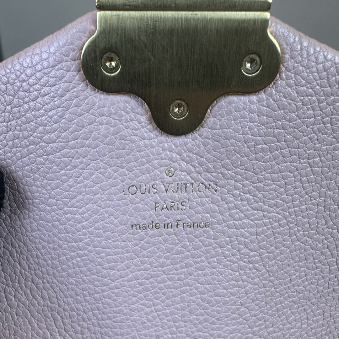 Pre-Owned Louis Vuitton Damier Ebene Clapton Backpack