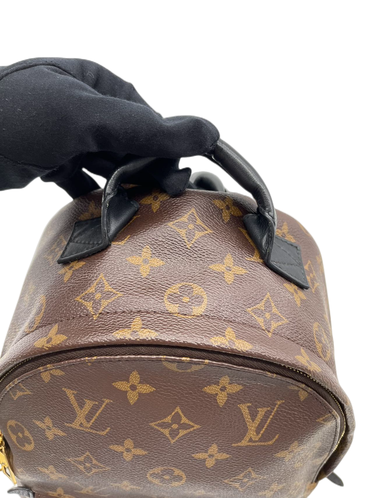 Preloved Louis Vuitton Monogram Canvas Medium Palm Spring Backpack