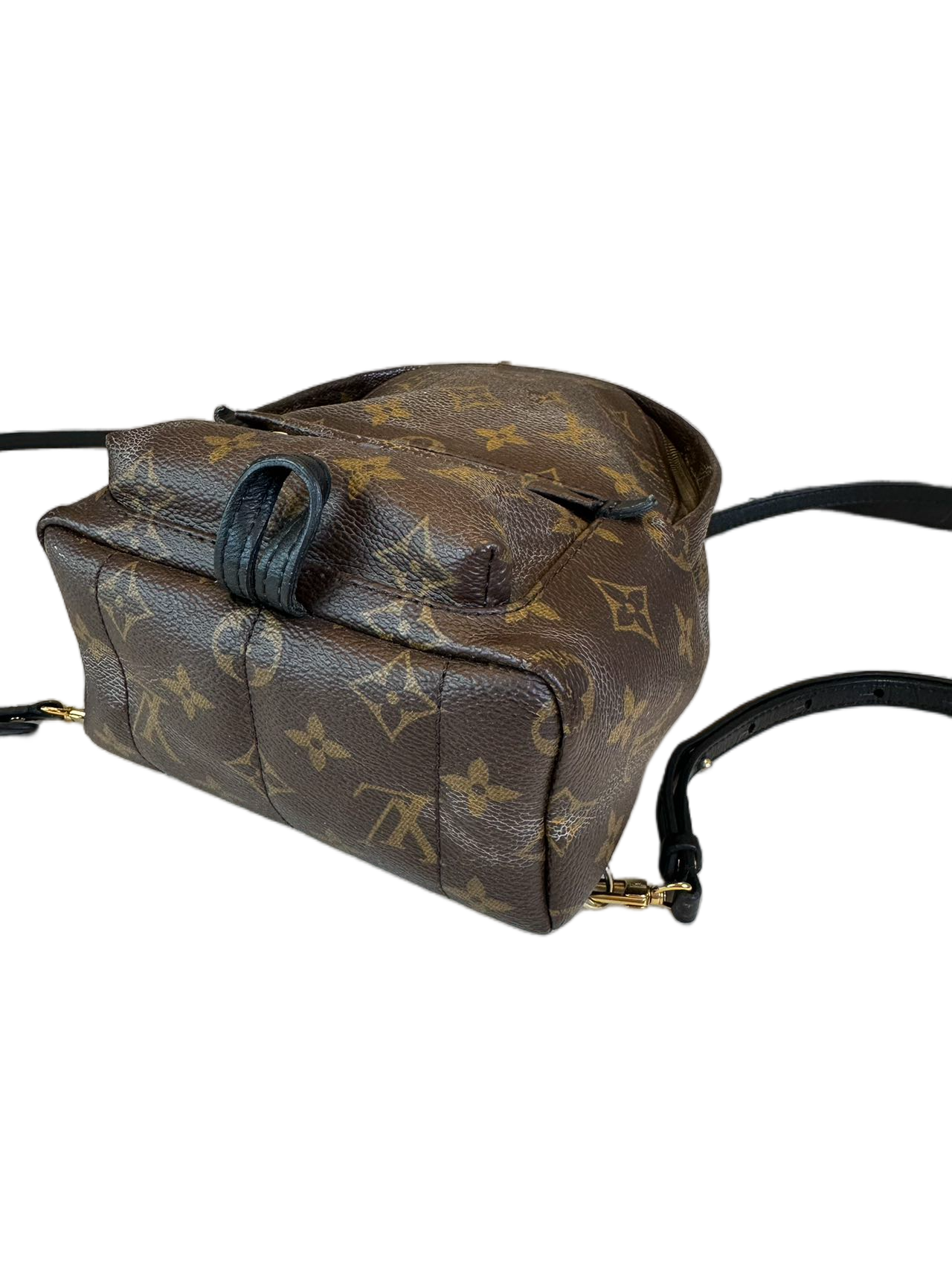 Preloved Louis Vuitton Monogram Canvas Mini Palm Spring Backpack