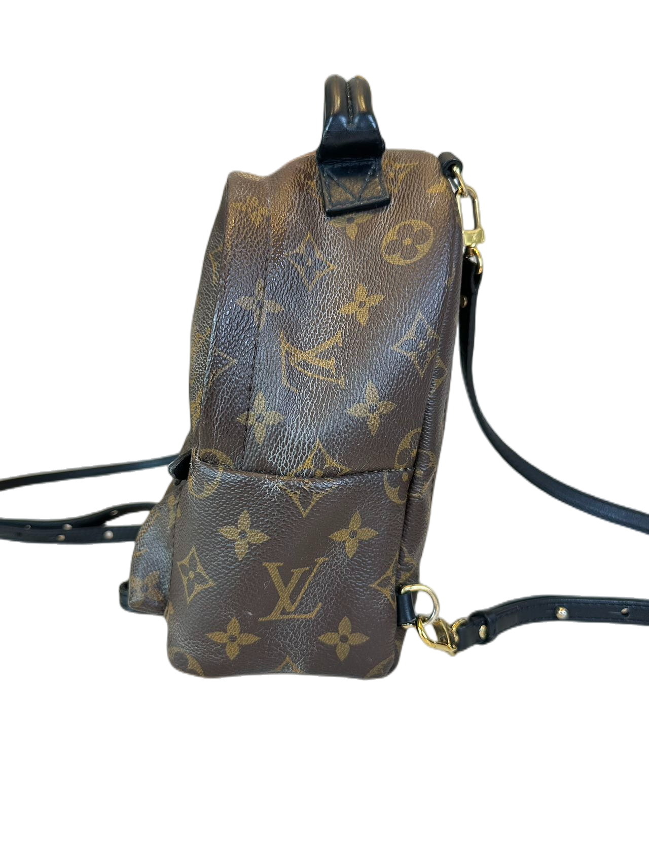 Preloved Louis Vuitton Monogram Canvas Mini Palm Spring Backpack