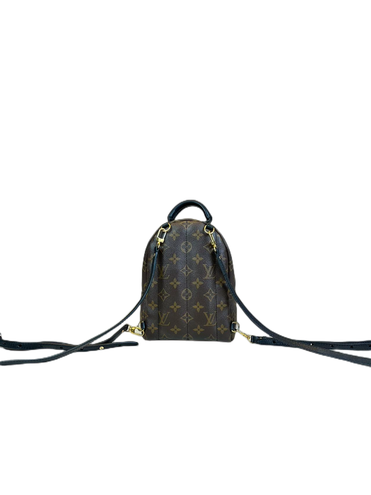 Preloved Louis Vuitton Monogram Canvas Mini Palms Spring Backpack