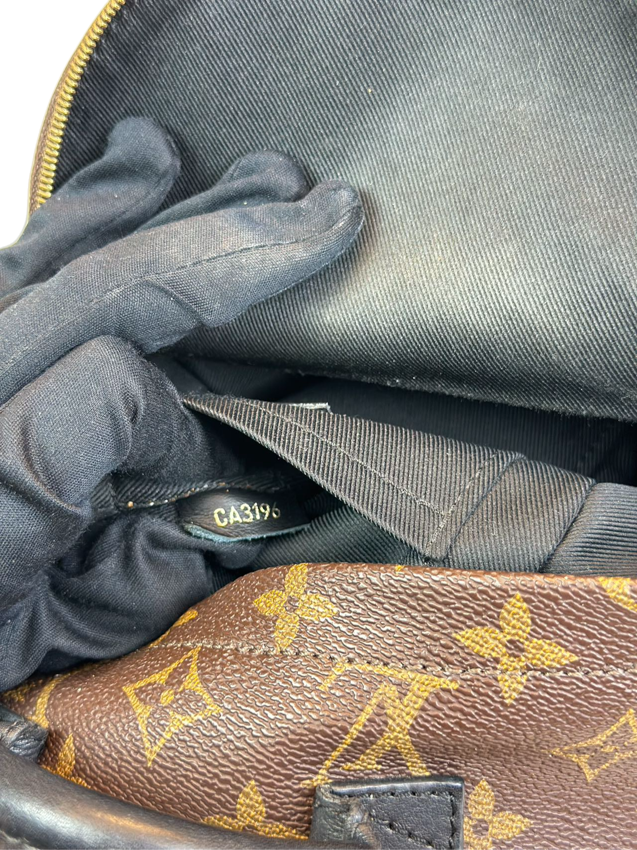 Preloved Louis Vuitton Monogram Canvas Mini Palms Spring Backpack