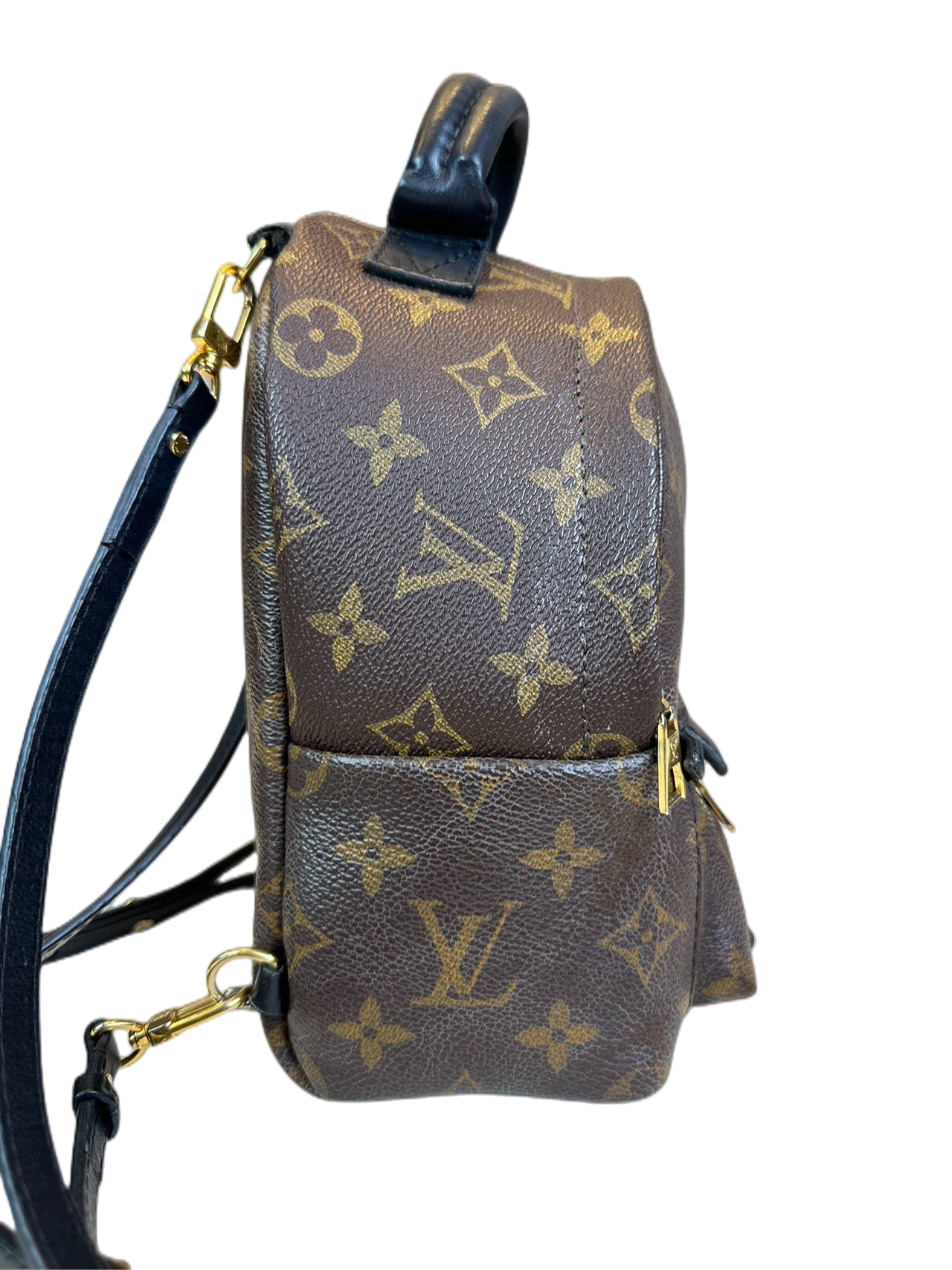 Preloved Louis Vuitton Monogram Canvas Mini Palms Spring Backpack