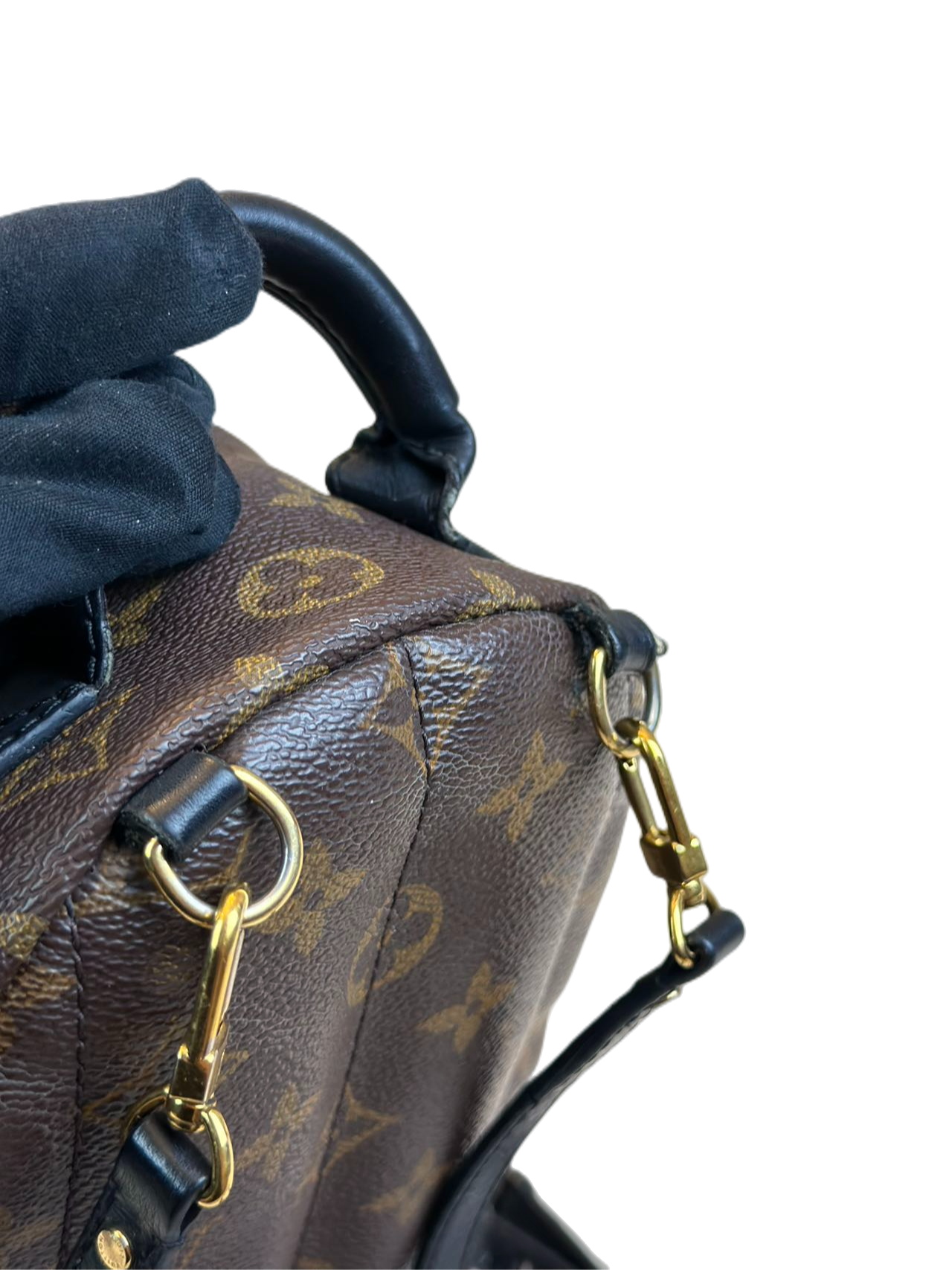 Preloved Louis Vuitton Monogram Canvas Mini Palms Spring Backpack