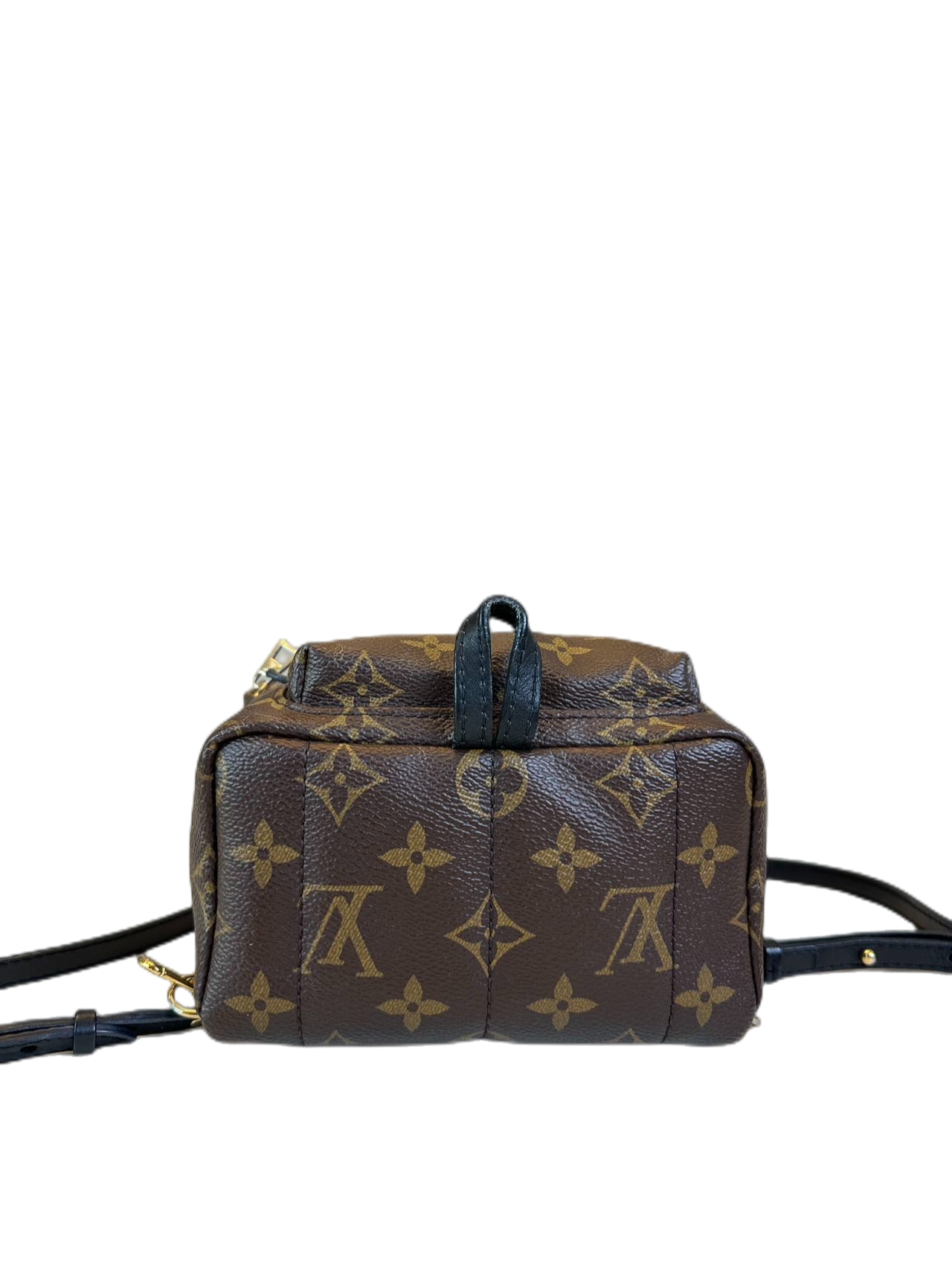 Preloved Louis Vuitton Monogram Canvas Mini Palm Spring Backpack