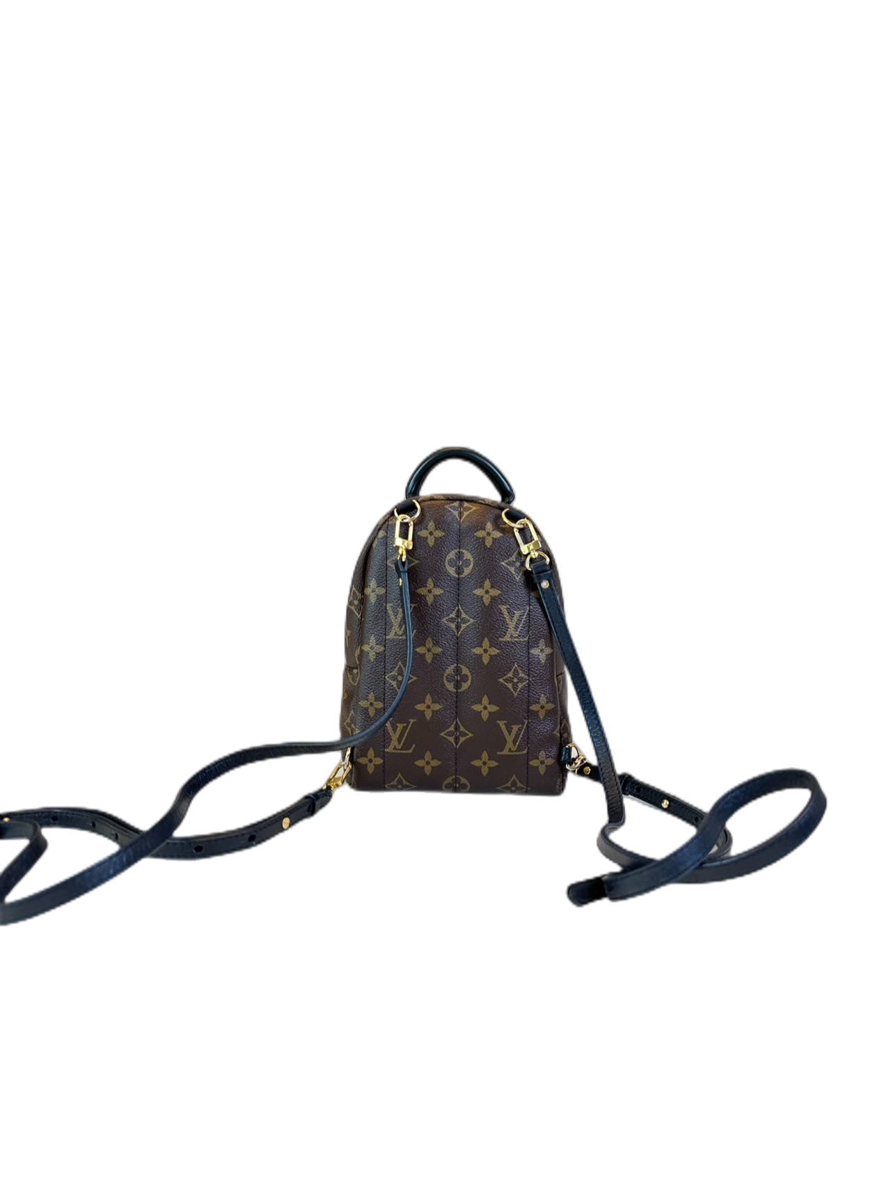 Preloved Louis Vuitton Monogram Canvas Mini Palm Spring Backpack