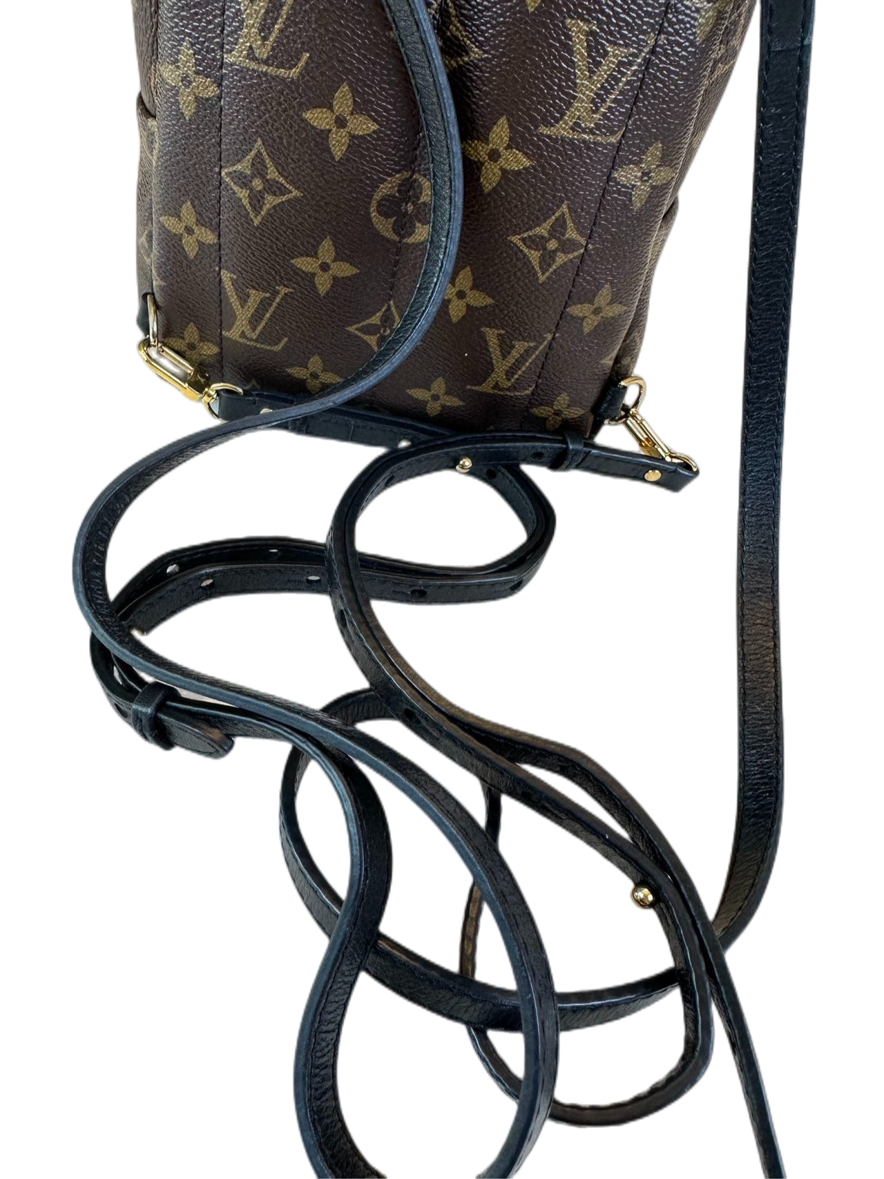 Preloved Louis Vuitton Monogram Canvas Mini Palm Spring Backpack