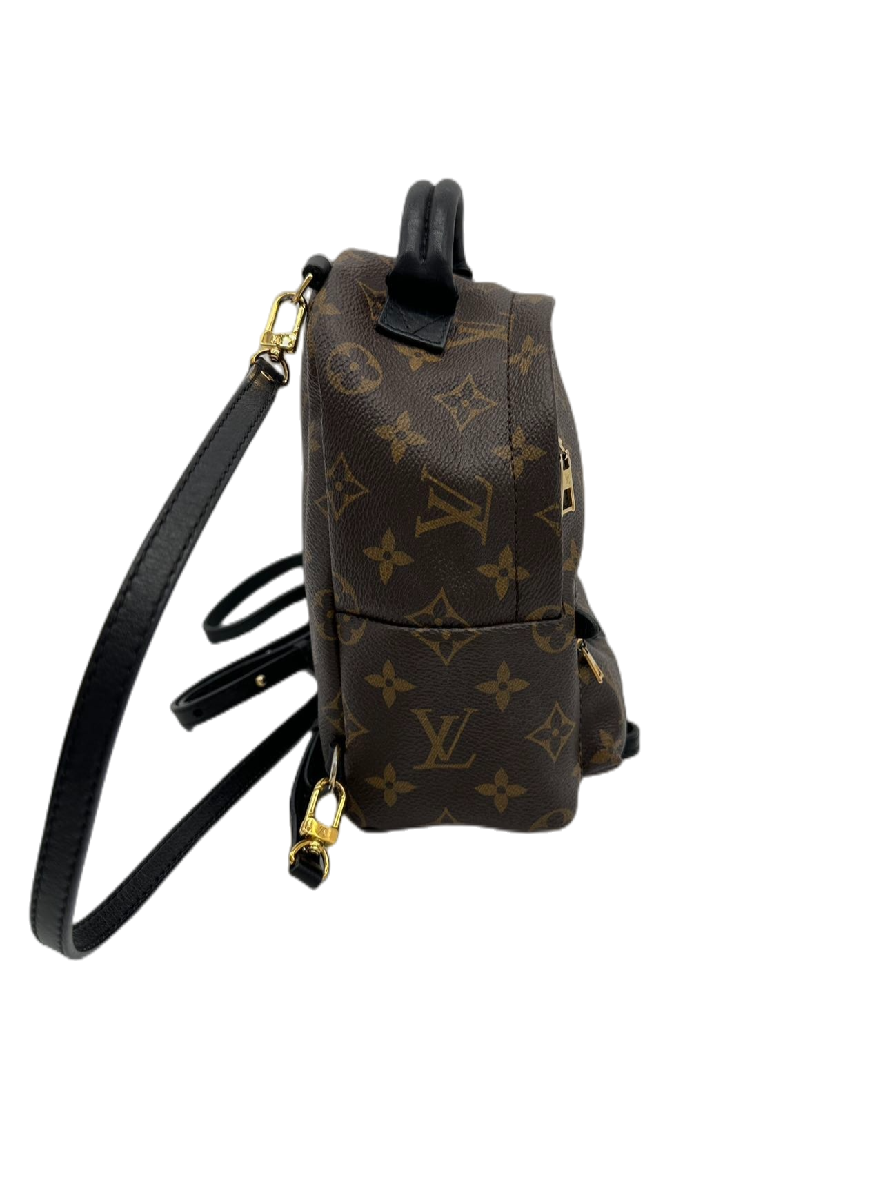 Preloved Louis Vuitton Monogram Canvas Palm Spring Mini Backpack